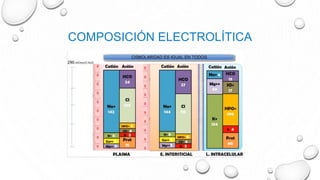 COMPOSICIÓN ELECTROLÍTICA
 
