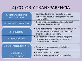 4) COLOR Y TRANSPARENCIA