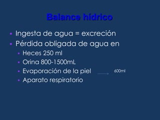 PRESIÓN OSMÓTICA	La actividad fisiológica y química de los electrolitos depende de:# partículas x unidad de volumen (moles o milimoles (mM) /Lto). # cargas eléctricas unidad de volumen (Eq. o mEq /Lto).# partículas osmóticas activas x unidad de volumen (osmoles o miliosmoles / Lto).