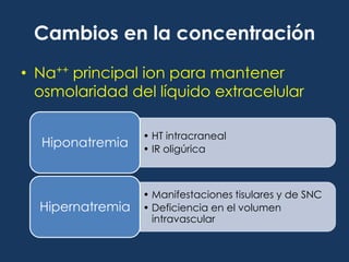 El Na+ es bombeado afuera de las células por la bomba de Na+-K+