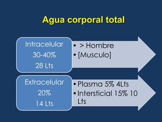 50 - 70% del peso corporal