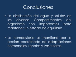 Fracciones Proteicas de Plasma Humano