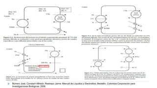 lquidosyelectrolitos-150416163857-conversion-gate01.pptx