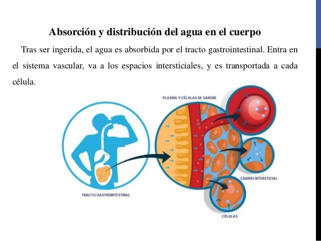 Qué piensas de este procedimiento si planeas realizartelo y por qué?
