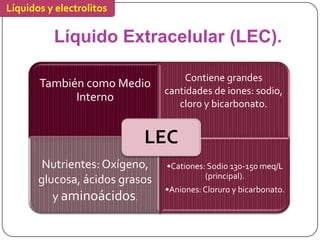 Líquidos y electrolitos

          Líquido Extracelular (LEC).

                                    Contiene grandes
       También como Medio
                                cantidades de iones: sodio,
             Interno
                                   cloro y bicarbonato.


                           LEC
        Nutrientes: Oxígeno,    •Cationes: Sodio 130-150 meq/L
       glucosa, ácidos grasos             (principal).
                                •Aniones: Cloruro y bicarbonato.
          y aminoácidos.
 