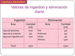 Líquidos y electrolitos

          Valores de ingestión y eliminación
                        diaria

             Ingestión                           Eliminación
         Ruta              Cantidad         Ruta           Cantidad
                             (ml)                            (ml)
 Agua de alimentos           1000     Piel                      500
 Agua de la oxidación         300     Pulmones                  350
 Agua por ingestión oral     1200     Heces                     150
                                      Riñones                  1500


         Total              2500                               2500
 