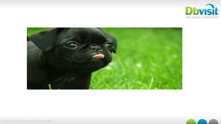 © 2015 Dbvisit Software Limited | dbvisit.com
 