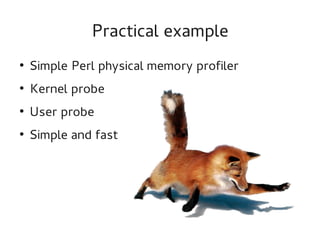 Practical example
●

Simple Perl physical memory profiler

●

Kernel probe

●

User probe

●

Simple and fast

 