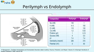 LR - The Physiology of Inner Ear - IH.pptx