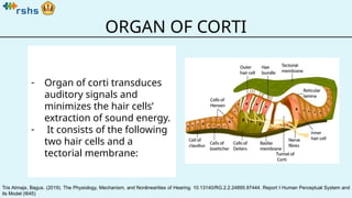LR - The Physiology of Inner Ear - IH.pptx