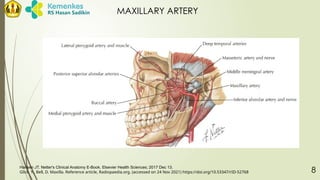 Netter Maxilla LR - TRAUMA OF MAXILLARY SINUSSSSSS.pptx