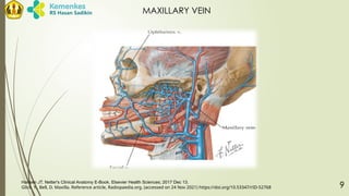 Netter Maxilla LR - TRAUMA OF MAXILLARY SINUSSSSSS.pptx