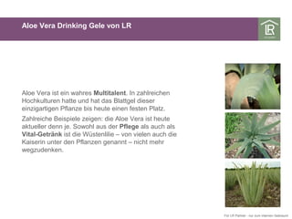 Aloe Vera Drinking Gele von LR
Aloe Vera ist ein wahres Multitalent. In zahlreichen
Hochkulturen hatte und hat das Blattgel dieser
einzigartigen Pflanze bis heute einen festen Platz.
Zahlreiche Beispiele zeigen: die Aloe Vera ist heute
aktueller denn je. Sowohl aus der Pflege als auch als
Vital-Getränk ist die Wüstenlilie – von vielen auch die
Kaiserin unter den Pflanzen genannt – nicht mehr
wegzudenken.
Für LR Partner - nur zum internen Gebrauch
 