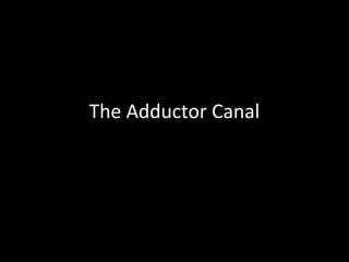 The Adductor Canal
 