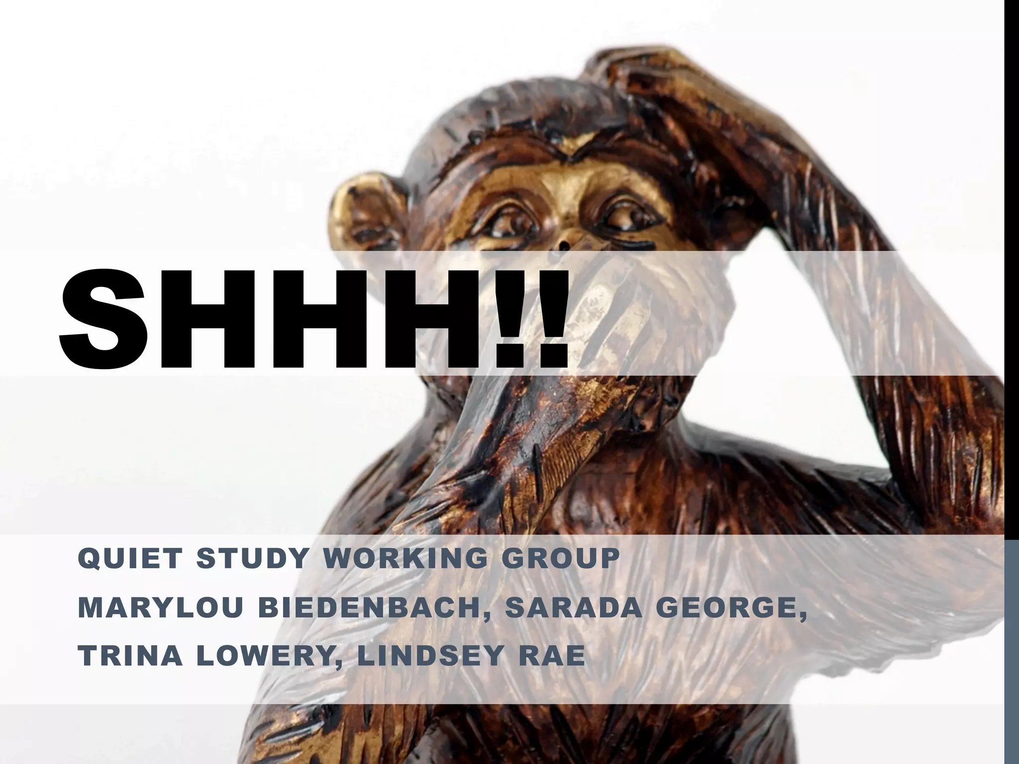 SHHH!!
QUIET STUDY WORKING GROUP
MARYLOU BIEDENBACH, SARADA GEORGE,
TRINA LOWERY, LINDSEY RAE