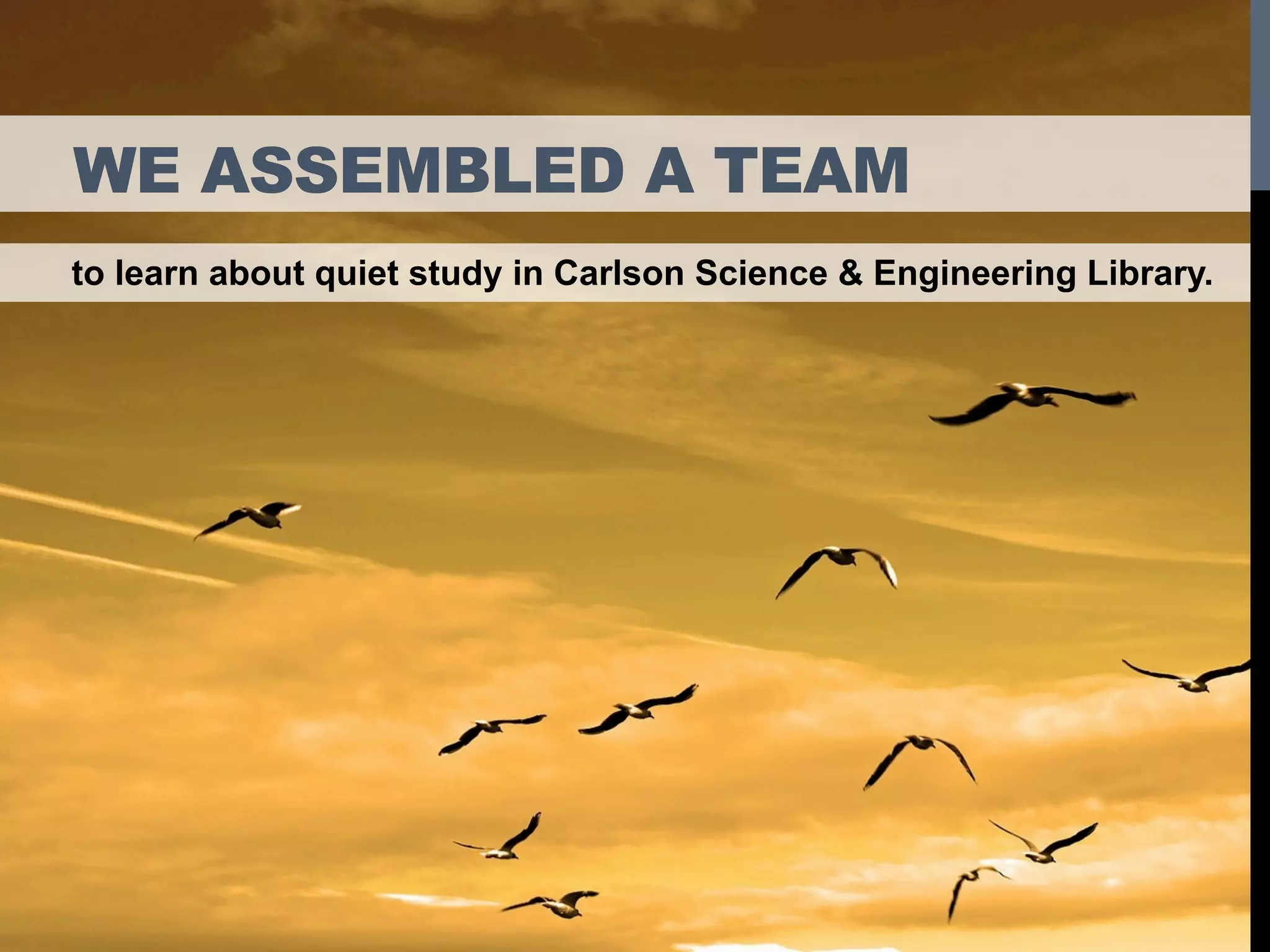 WE ASSEMBLED A TEAM
to learn about quiet study in Carlson Science & Engineering Library.