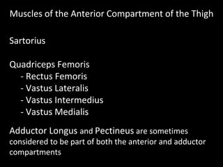 Muscles of the Anterior Compartment of the Thigh
Sartorius
Quadriceps Femoris
- Rectus Femoris
- Vastus Lateralis
- Vastus Intermedius
- Vastus Medialis
Adductor Longus and Pectineus are sometimes
considered to be part of both the anterior and adductor
compartments
 