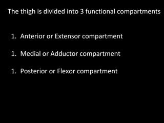 The thigh is divided into 3 functional compartments
1. Anterior or Extensor compartment
1. Medial or Adductor compartment
1. Posterior or Flexor compartment
 
