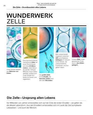 Vor Milliarden von Jahren entwickelten sich auf der Erde die ersten Einzeller – sie gelten als
die älteste Lebensform. Aus den Einzellern entwickelten sich im Laufe der Zeit komplexere
Lebewesen – und auch der Mensch.
20
Unsere DNA, unser
genetischer Code,
wird in den Zellen
gelagert.
Man unterscheidet
insgesamt zwischen
300 verschiedenen
Zelltypen im mensch-
lichen Körper, die
unterschiedliche
Funktionen und Auf-
gaben haben.
Eine durchschnittliche
menschliche Zelle hat
einen Durchmesser
von etwa 25 Mikro-
metern. Jede Sekun-
de werden mehrere
Millionen neuer Zellen
gebildet, sodass sich
unser Körper fort-
laufend erneuert und
regeneriert.
Die größte Zelle
ist die Eizelle, die
kleinsten Zellen sind
die roten Blutzellen.
Unser Körper besteht
aus Billionen von
Zellen.
Die Zelle–Ursprung allen Lebens
Die Zelle – Grundbaustein allen Lebens
WUNDERWERK
ZELLE
Shop : www.eimkaufen-ab-werk.de
LR www.lrworld.com/schweizer
 