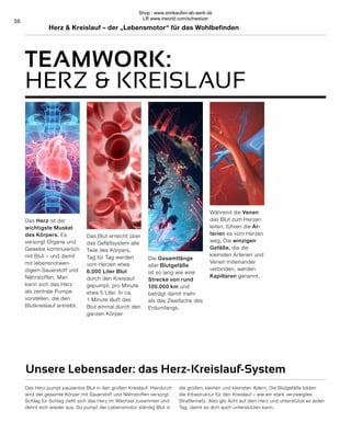 Herz & Kreislauf – der „Lebensmotor“ für das Wohlbefinden
Das Herz pumpt pausenlos Blut in den großen Kreislauf. Hierdurch
wird der gesamte Körper mit Sauerstoff und Nährstoffen versorgt.
Schlag für Schlag zieht sich das Herz im Wechsel zusammen und
dehnt sich wieder aus. So pumpt der Lebensmotor ständig Blut in
die großen, kleinen und kleinsten Adern. Die Blutgefäße bilden
die Infrastruktur für den Kreislauf – wie ein stark verzweigtes
Straßennetz. Also gib Acht auf dein Herz und unterstütze es jeden
Tag, damit es dich auch unterstützen kann.
36
TEAMWORK:
HERZ & KREISLAUF
Unsere Lebensader: das Herz-Kreislauf-System
Während die Venen
das Blut zum Herzen
leiten, führen die Ar-
terien es vom Herzen
weg. Die winzigen
Gefäße, die die
kleinsten Arterien und
Venen miteinander
verbinden, werden
Kapillaren genannt.
Die Gesamtlänge
aller Blutgefäße
ist so lang wie eine
Strecke von rund
100.000 km und
beträgt damit mehr
als das Zweifache des
Erdumfangs.
Das Herz ist der
wichtigste Muskel
des Körpers. Es
versorgt Organe und
Gewebe kontinuierlich
mit Blut – und damit
mit lebensnotwen-
digem Sauerstoff und
Nährstoffen. Man
kann sich das Herz
als zentrale Pumpe
vorstellen, die den
Blutkreislauf antreibt.
Das Blut erreicht über
das Gefäßsystem alle
Teile des Körpers.
Tag für Tag werden
vom Herzen etwa
6.000 Liter Blut
durch den Kreislauf
gepumpt, pro Minute
etwa 5 Liter. In ca.
1 Minute läuft das
Blut einmal durch den
ganzen Körper.
Shop : www.eimkaufen-ab-werk.de
LR www.lrworld.com/schweizer
 