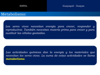 Guayaquil - Guayas 
ESPOL 
Metabolismo: 
Los seres vivos necesitan energía para crecer, responder y reproducirse. También necesitan materia prima para crecer y para sustituir las células gastadas. 
Las actividades químicas dan la energía y los materiales que necesitan los seres vivos. La suma de estas actividades se llama metabolismo.  