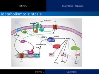 Guayaquil - Guayas 
ESPOL 
Metabolismo: síntesis 
Capitulo I 
Flores L  