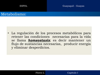 Guayaquil - Guayas 
ESPOL 
Metabolismo: 
Capitulo I 
Flores L 
•La regulación de los procesos metabólicos para retener las condiciones necesarias para la vida se llama homeostasis; es decir mantener un flujo de sustancias necesarias, producir energía y eliminar desperdicios.  