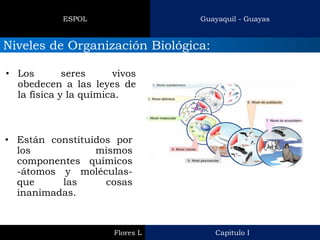 Capitulo I 
Flores L 
Guayaquil - Guayas 
ESPOL 
Niveles de Organización Biológica: 
•Los seres vivos obedecen a las leyes de la física y la química. 
•Están constituidos por los mismos componentes químicos -átomos y moléculas- que las cosas inanimadas.  