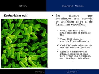 Capitulo I 
Flores L 
Guayaquil - Guayas 
ESPOL 
•Los átomos que constituyen esta bacteria se combinan entre sí de forma muy específica: 
Escherichia coli 
Gran parte del H y del O están presentes en forma de H2O. 
Tiene 5000 clases de macromoléculas diferentes. 
Casi 1000 están relacionadas con la información genética. 
Algunas macromoléculas interaccionan con el agua para formar una membrana. Así, constituyen una célula.  