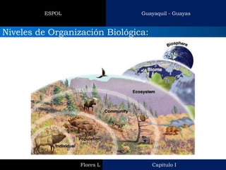 Capitulo I 
Flores L 
Guayaquil - Guayas 
ESPOL 
Niveles de Organización Biológica:  