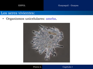 Capitulo I 
Flores L 
Guayaquil - Guayas 
ESPOL 
Los seres vivientes: 
•Organismos unicelulares: ameba.  