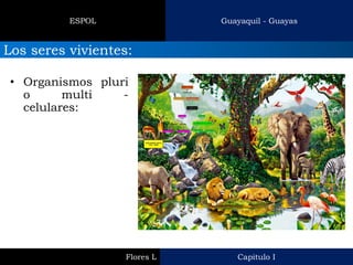 Capitulo I 
Flores L 
Guayaquil - Guayas 
ESPOL 
Los seres vivientes: 
•Organismos pluri o multi - celulares:  