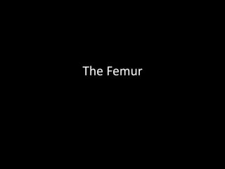 The Femur
 