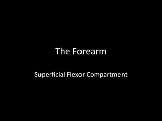 The Forearm
Superficial Flexor Compartment
 