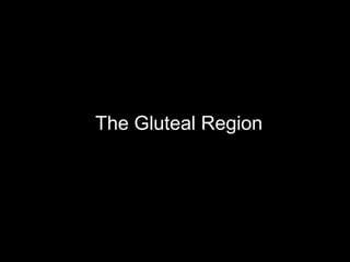 The Gluteal Region
 