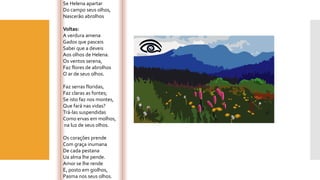 Se Helena apartar 
Do campo seus olhos, 
Nascerão abrolhos 
Voltas: 
A verdura amena 
Gados que pasceis 
Sabei que a deveis 
Aos olhos de Helena. 
Os ventos serena, 
Faz flores de abrolhos 
O ar de seus olhos. 
Faz serras floridas, 
Faz claras as fontes; 
Se isto faz nos montes, 
Que fará nas vidas? 
Trá-las suspendidas 
Como ervas em molhos, 
na luz de seus olhos. 
Os corações prende 
Com graça inumana 
De cada pestana 
Ua alma lhe pende. 
Amor se lhe rende 
E, posto em giolhos, 
Pasma nos seus olhos. 
 