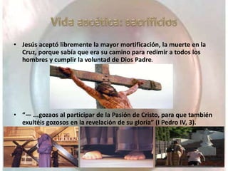• Jesús aceptó libremente la mayor mortificación, la muerte en la
Cruz, porque sabía que era su camino para redimir a todos los
hombres y cumplir la voluntad de Dios Padre.
• “— ...gozaos al participar de la Pasión de Cristo, para que también
exultéis gozosos en la revelación de su gloria” (I Pedro IV, 3).
 