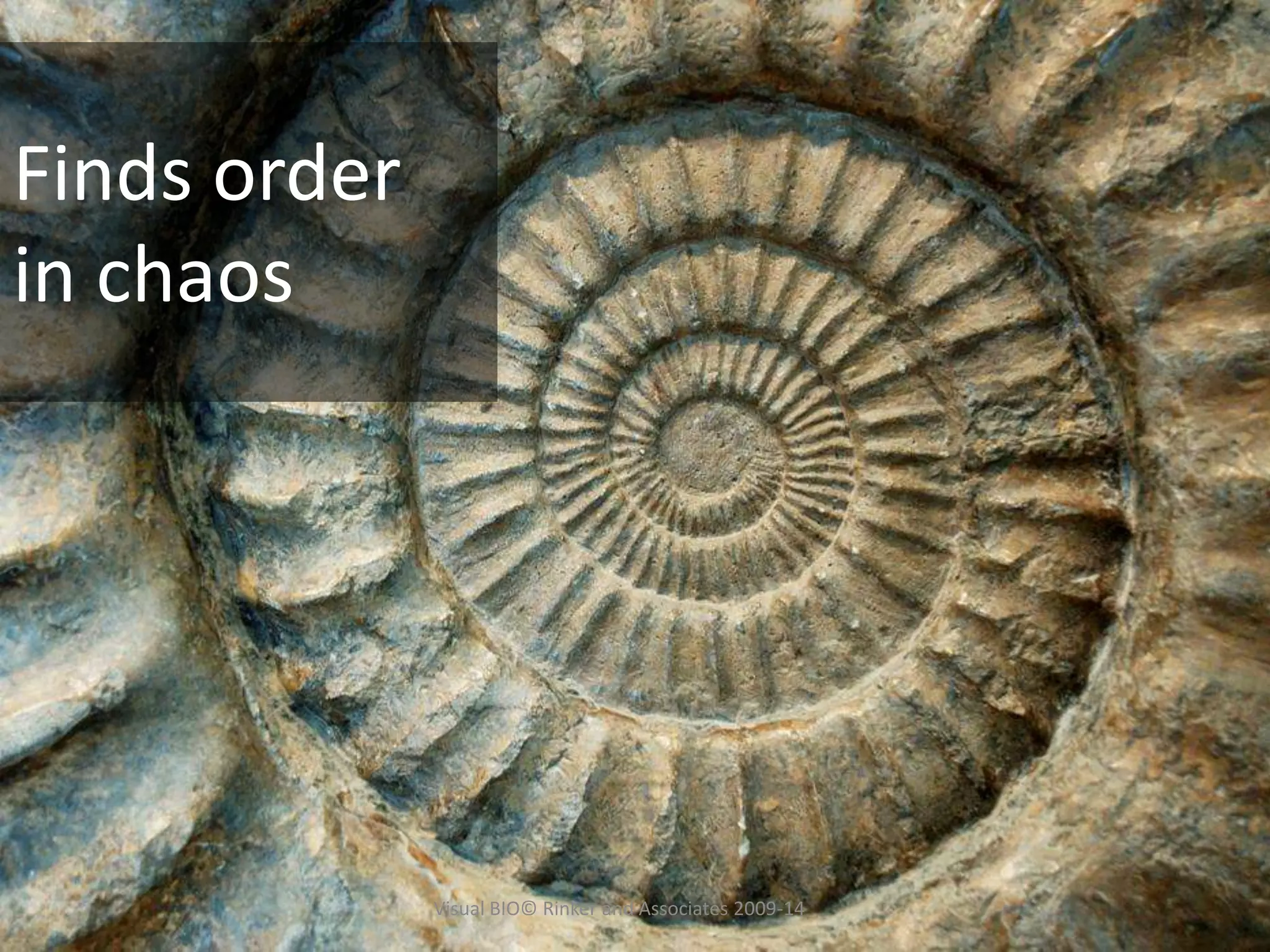 Finds order
in chaos
Visual BIO© Rinker and Associates 2009-14
 