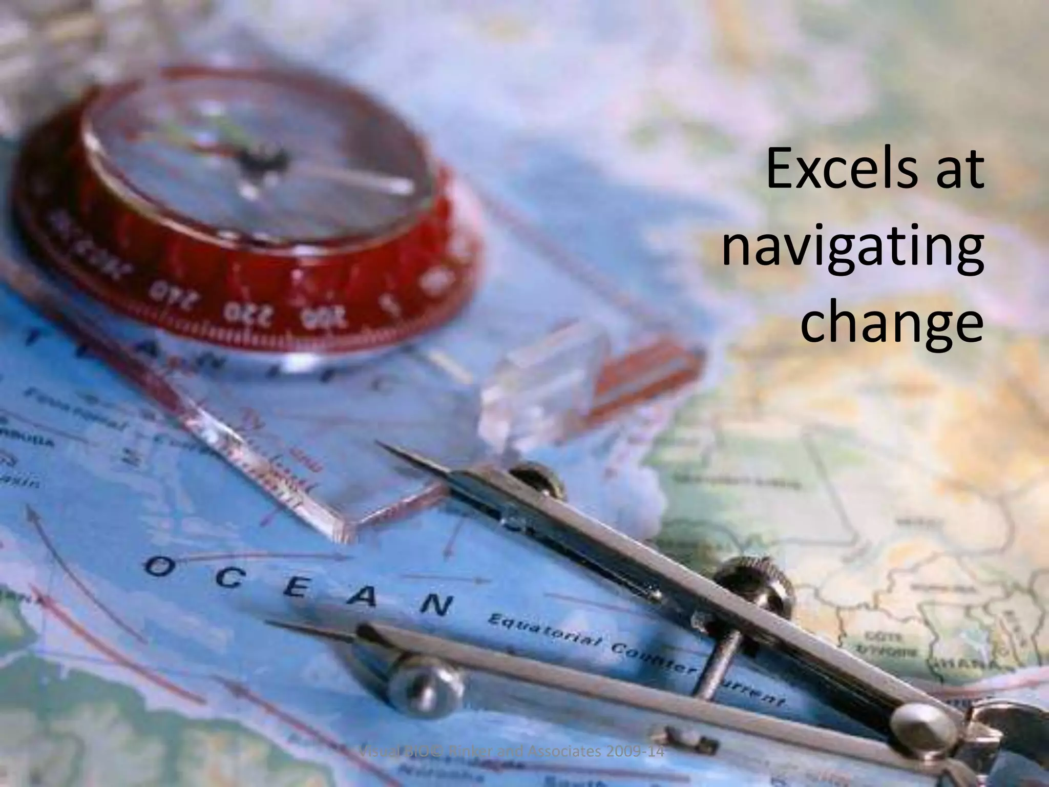 Excels at
navigating
change
Visual BIO© Rinker and Associates 2009-14
 
