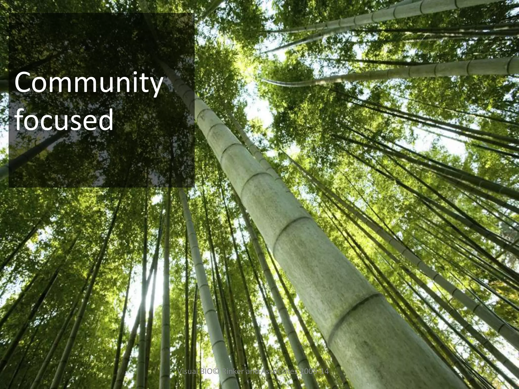 Community
focused
Visual BIO© Rinker and Associates 2009-14
 