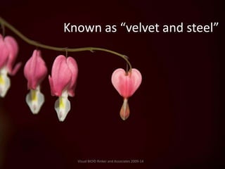 Known as “velvet and steel”
Visual BIO© Rinker and Associates 2009-14
 