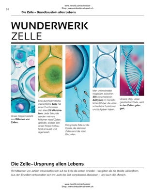 20
WUNDERWERK
Die Zelle – Grundbaustein allen Lebens
Unser Körper besteht
aus Billionen von
Zellen.
Die grösste Zelle ist die
Eizelle, die kleinsten
Zellen sind die roten
Blutzellen.
Eine durchschnittliche
menschliche Zelle hat
einen Durchmesser
von etwa 25 Mikrome-
tern. Jede Sekunde
werden mehrere
Millionen neuer Zellen
gebildet, sodass sich
unser Körper fortlau-
fend erneuert und
regeneriert.
Man unterscheidet
insgesamt zwischen
300 verschiedenen
Zelltypen im mensch-
lichen Körper, die unter-
schiedliche Funktionen
und Aufgaben haben.
Unsere DNA, unser
genetischer Code, wird
in den Zellen gela-
gert.
ZELLE
Die Zelle–Ursprung allen Lebens
Vor Milliarden von Jahren entwickelten sich auf der Erde die ersten Einzeller – sie gelten als die älteste Lebensform.
Aus den Einzellern entwickelten sich im Laufe der Zeit komplexere Lebewesen – und auch der Mensch.
www.lrworld.com/schweizer
Shop : www.einkaufen-ab-werk.ch
www.lrworld.com/schweizer
Shop : www.einkaufen-ab-werk.ch
 