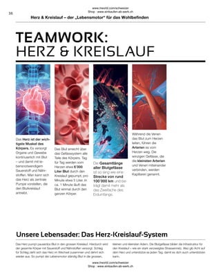 36
TEAMWORK:
Herz  Kreislauf – der „Lebensmotor“ für das Wohlbefinden
Das Herz pumpt pausenlos Blut in den grossen Kreislauf. Hierdurch wird
der gesamte Körper mit Sauerstoff und Nährstoffen versorgt. Schlag
für Schlag zieht sich das Herz im Wechsel zusammen und dehnt sich
wieder aus. So pumpt der Lebensmotor ständig Blut in die grossen,
kleinen und kleinsten Adern. Die Blutgefässe bilden die Infrastruktur für
den Kreislauf – wie ein stark verzweigtes Strassennetz. Also gib Acht auf
dein Herz und unterstütze es jeden Tag, damit es dich auch unterstützen
kann.
HERZ  KREISLAUF
Unsere Lebensader: Das Herz-Kreislauf-System
Während die Venen
das Blut zum Herzen
leiten, führen die
Arterien es vom
Herzen weg. Die
winzigen Gefässe, die
die kleinsten Arterien
und Venen miteinander
verbinden, werden
Kapillaren genannt.
Die Gesamtlänge
aller Blutgefässe
ist so lang wie eine
Strecke von rund
100�000 km und be-
trägt damit mehr als
das Zweifache des
Erdumfangs.
Das Herz ist der wich-
tigste Muskel des
Körpers. Es versorgt
Organe und Gewebe
kontinuierlich mit Blut
– und damit mit le-
bensnotwendigem
Sauerstoff und Nähr-
stoffen. Man kann sich
das Herz als zentrale
Pumpe vorstellen, die
den Blutkreislauf
antreibt.
Das Blut erreicht über
das Gefässsystem alle
Teile des Körpers. Tag
für Tag werden vom
Herzen etwa 6�000
Liter Blut durch den
Kreislauf gepumpt, pro
Minute etwa 5 Liter. In
ca. 1 Minute läuft das
Blut einmal durch den
ganzen Körper.
www.lrworld.com/schweizer
Shop : www.einkaufen-ab-werk.ch
www.lrworld.com/schweizer
Shop : www.einkaufen-ab-werk.ch
 