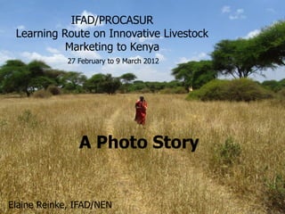 IFAD/PROCASUR
 Learning Route on Innovative Livestock
           Marketing to Kenya
             27 February to 9 March 2012




                A Photo Story


Elaine Reinke, IFAD/NEN
 