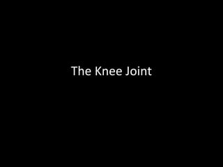 The Knee Joint
 