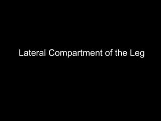 Lateral Compartment of the Leg
 