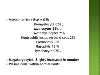  Myeloid series : Blasts 02% ,
Promyelocyte 02% ,
Myelocytes 25% ,
Metamyelocytes 21%
Neutrophils including band cells 29% .
Eosinophils 06%
Basophils 13 %
lymphocyte 02% .
 Megakaryocytes :Slighty Increased in number
 Plasma cells :within normal limits.
 