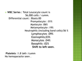  WBC Series : Total Leucocyte count is
56,000 cells / cumm.
Differential count : Blasts:00
Promyelocyte : 01%
Myelocyte :06%
Metamyelocyte :19%
Neutrophils (including band cells):56 %
Lymphocytes :09%
Eosinophils;03%
Monocytes :04%
Basophils :02%
Shift to left seen.
Platelets :1.8 lakh /cumm
No hemoparasite seen .
 
