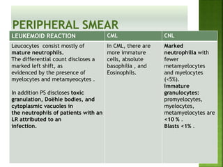 LEUKEMOID REACTION CML CNL
Leucocytes consist mostly of
mature neutrophils.
The differential count discloses a
marked left shift, as
evidenced by the presence of
myelocytes and metamyeocytes .
In addition PS discloses toxic
granulation, Doëhle bodies, and
cytoplasmic vacuoles in
the neutrophils of patients with an
LR attributed to an
infection.
In CML, there are
more immature
cells, absolute
basophilia , and
Eosinophils.
Marked
neutrophilia with
fewer
metamyelocytes
and myelocytes
(<5%).
Immature
granulocytes:
promyelocytes,
myelocytes,
metamyelocytes are
<10 % .
Blasts <1% .
 