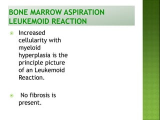  Increased
cellularity with
myeloid
hyperplasia is the
principle picture
of an Leukemoid
Reaction.
 No fibrosis is
present.
 